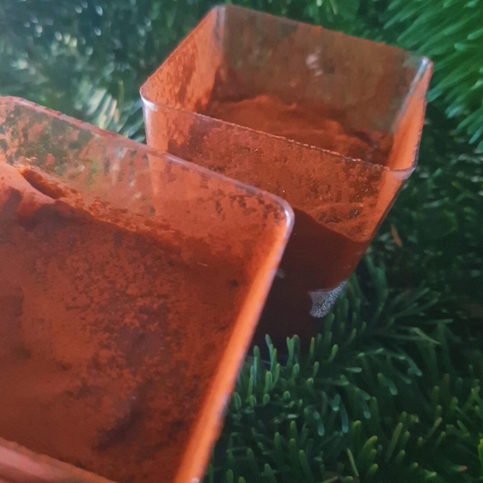 Desert din kaki cu cacao – rețetă simplă