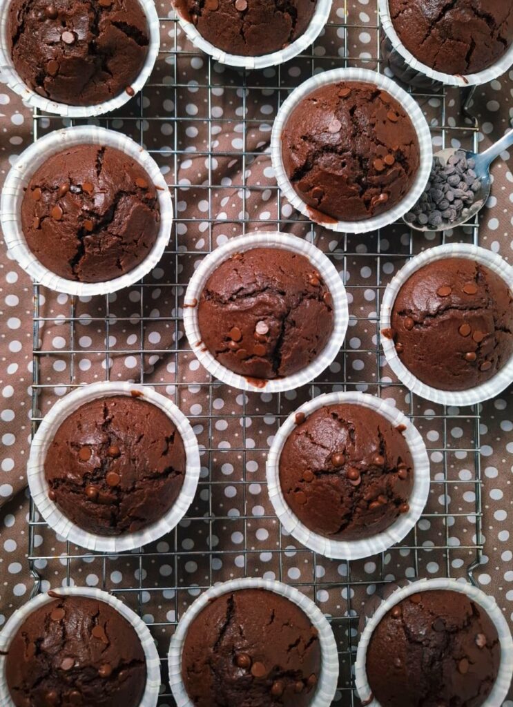 brioșe cu cacao și ciocolată