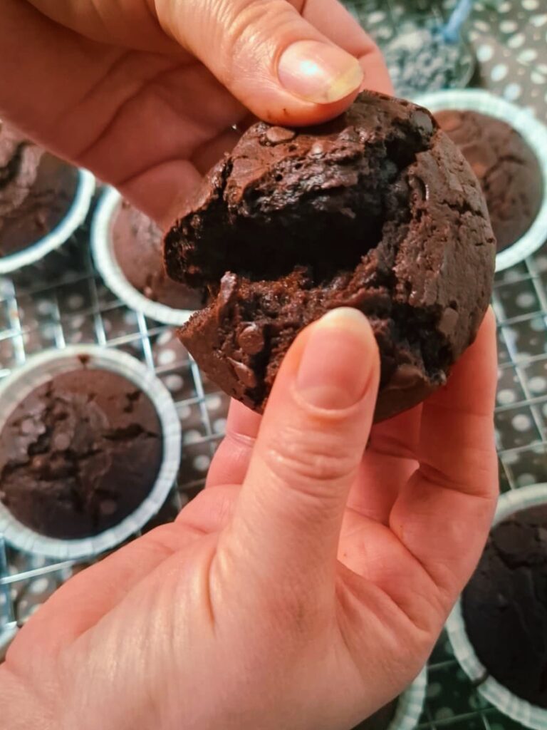 brioșe cu cacao și ciocolată - rețetă simplă