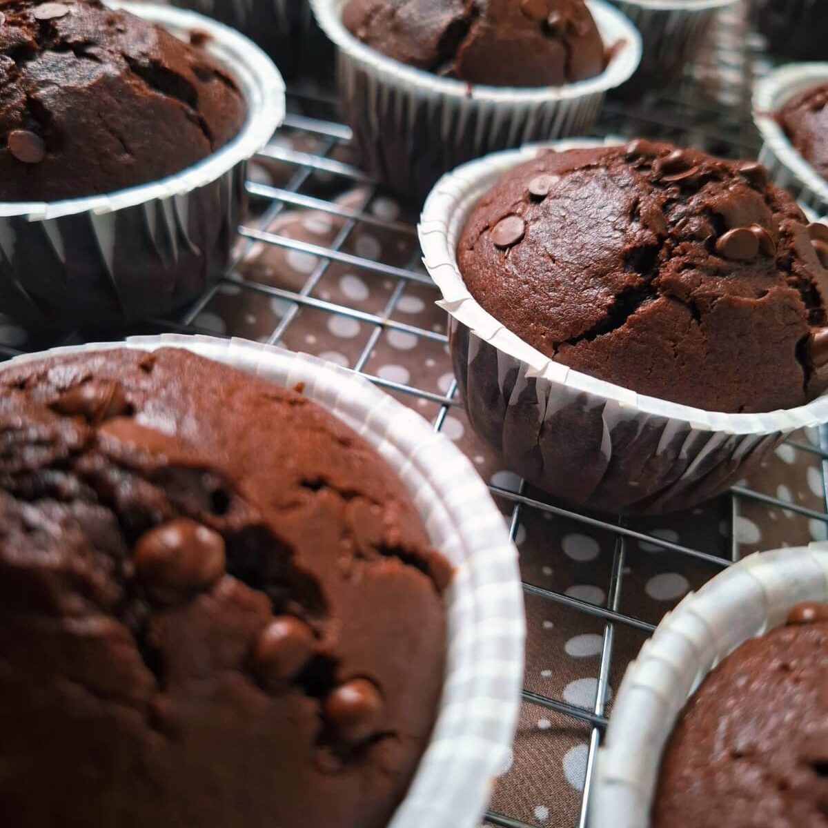 Brioșe cu cacao și ciocolată – rețetă simplă